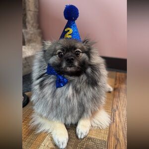 On Vacation from August 23rd through the 31st